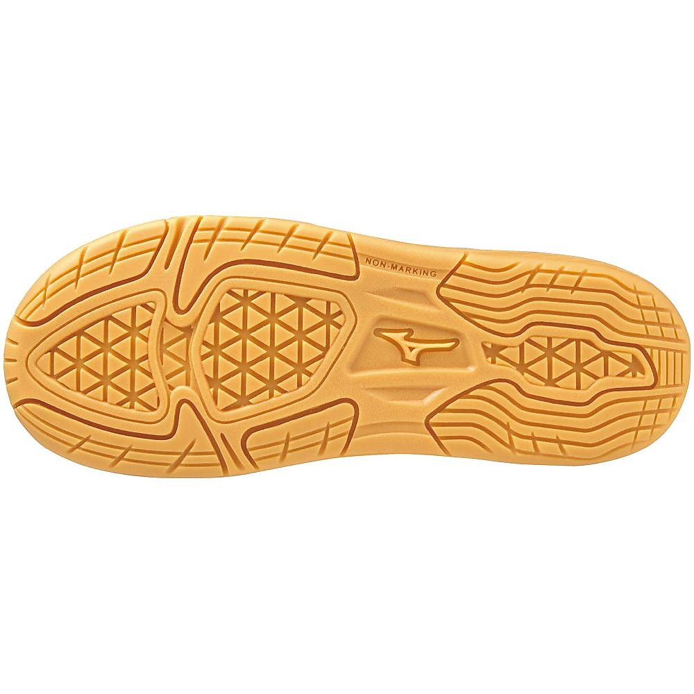 モナルシーダネオ2クラブキッズIN