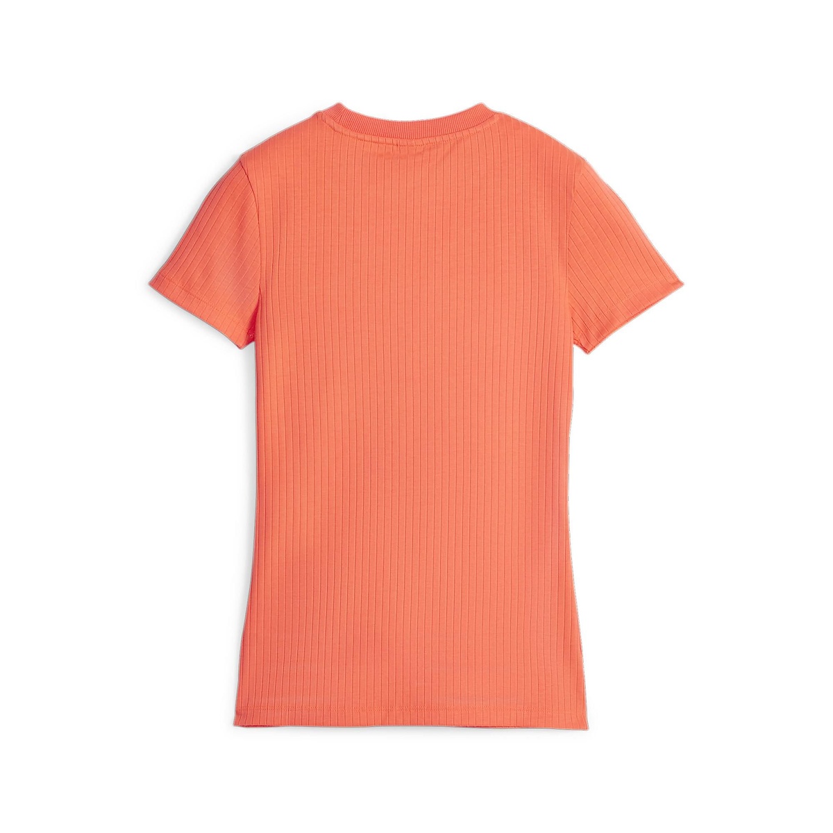 CLASSICS リブ スリム Tシャツ