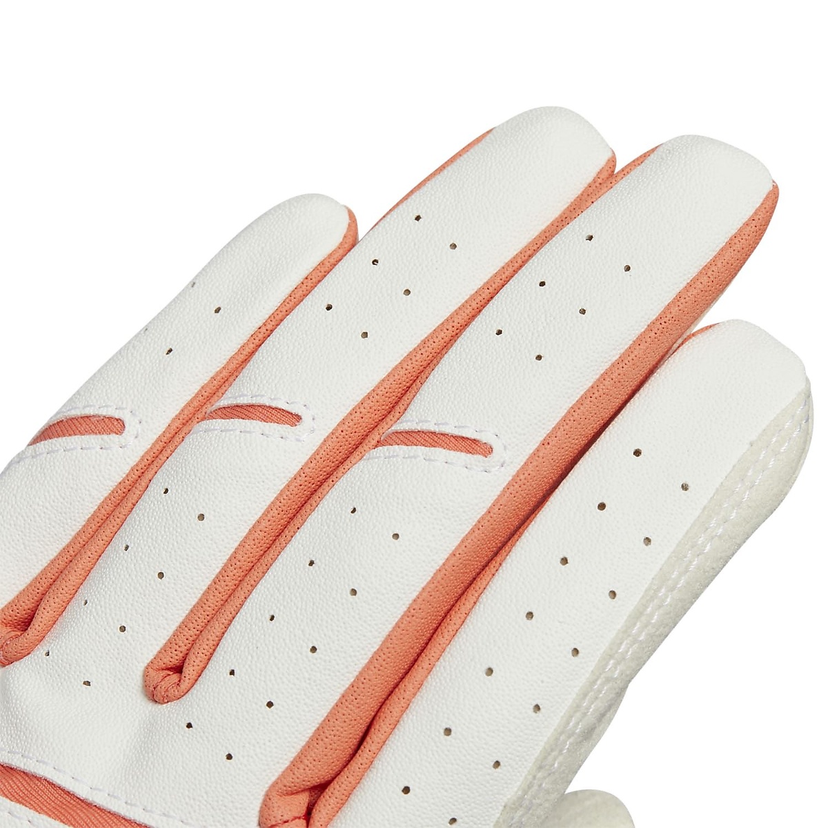 ウィメンズZGペアグローブ