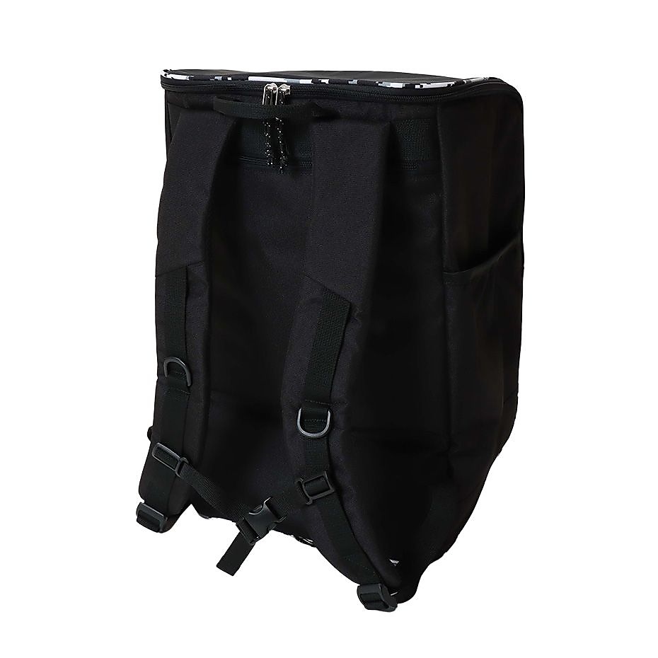 BACK PACK