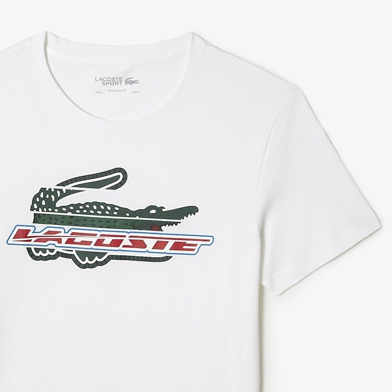 LACOSTEラコステ - ミックスグラフィックウルトラドライTシャツ TH5156