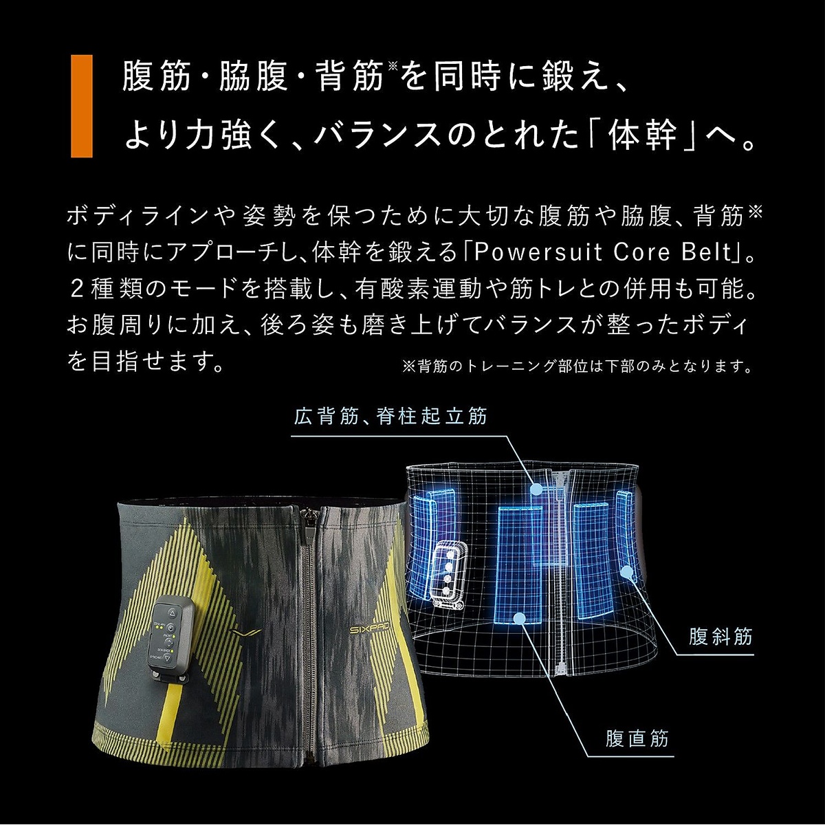 POWERSUIT CORE BELT 【HOME GYM対応モデル】