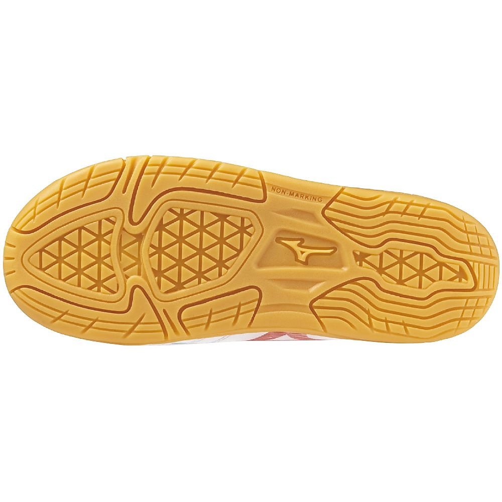 モナルシーダネオ3クラブキッズIN