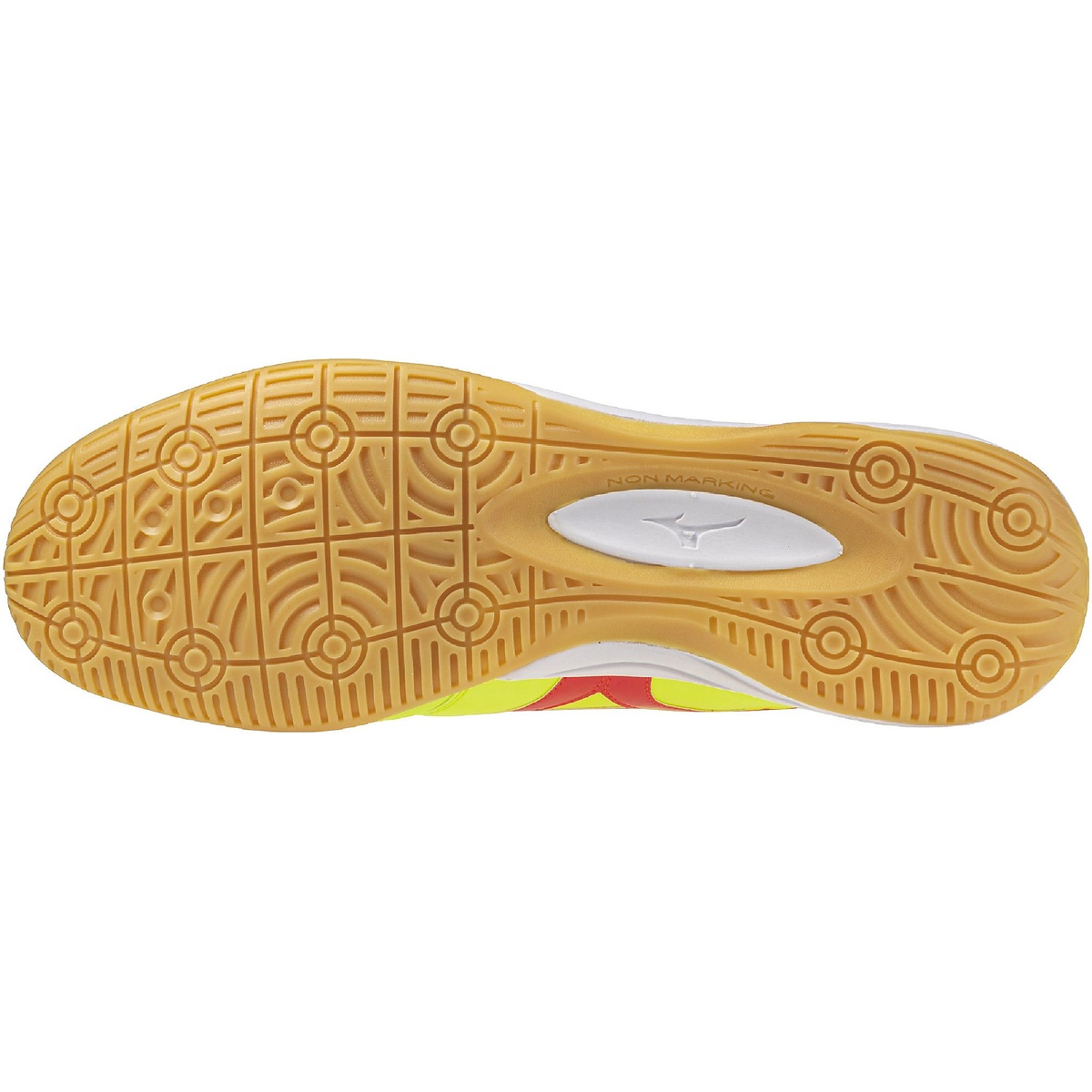 モレリアサラ JP IN