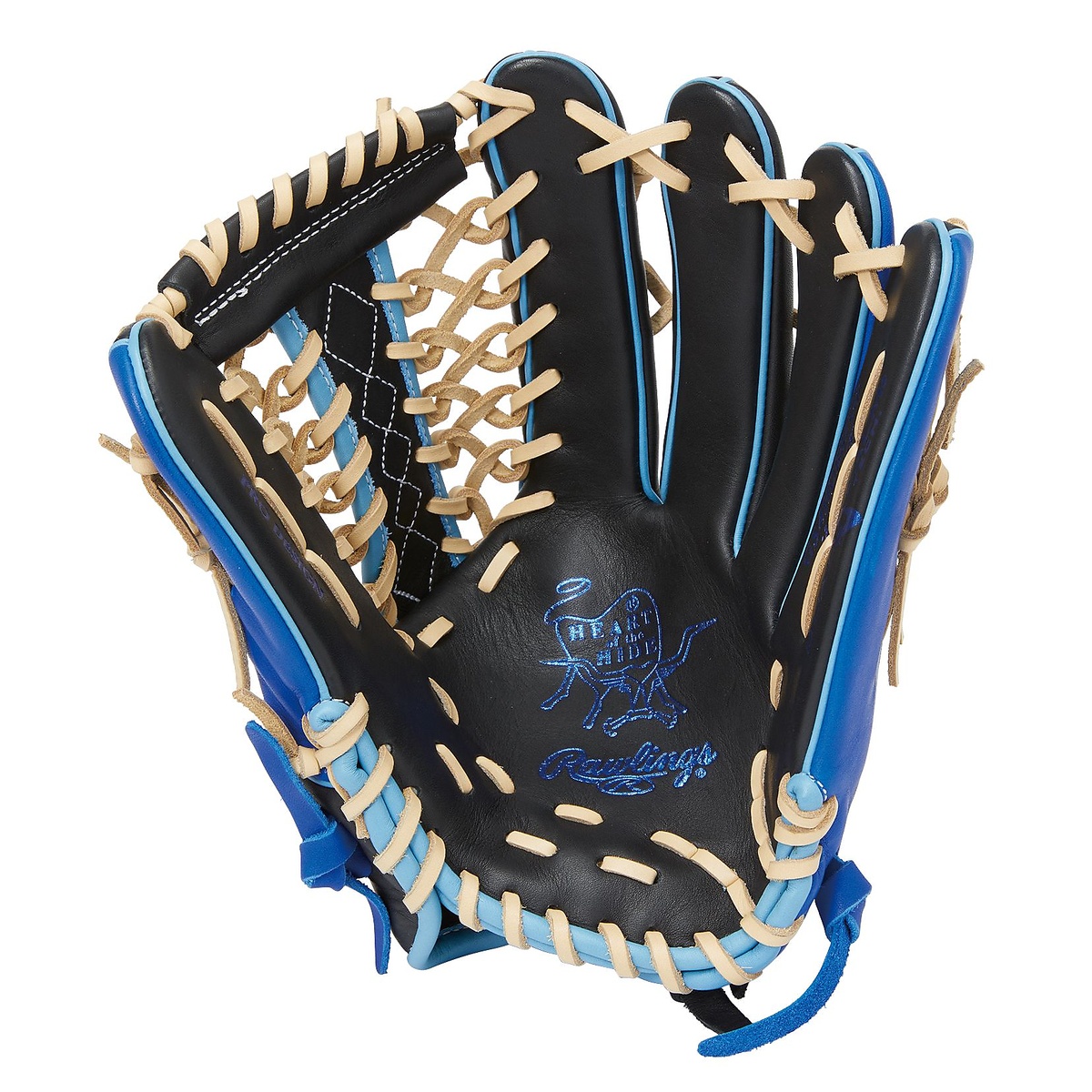 ソフト HOH DP COLORS(エイチオーエイチディーピーカラーズ)B87GF-ブラック/ロイヤル