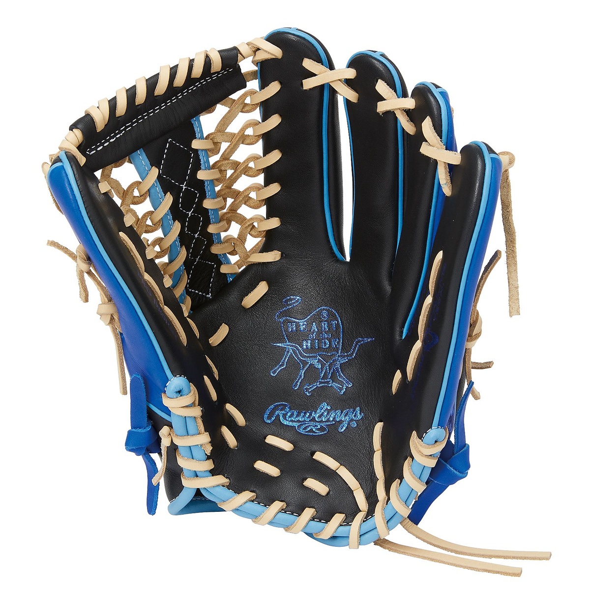 ソフト HOH DP COLORS(エイチオーエイチディーピーカラーズ)S66-ブラック/ロイヤル