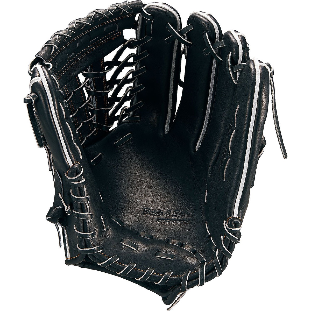 コウシキグラブ(プロステイタス)2401