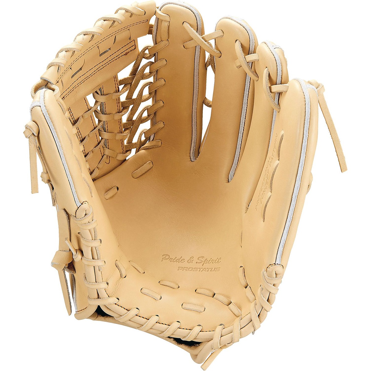 コウシキグラブ(プロステイタス)2401