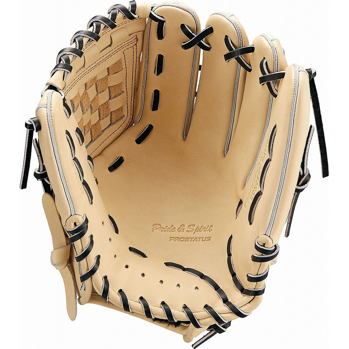 ナンシキグラブ プロステイタス