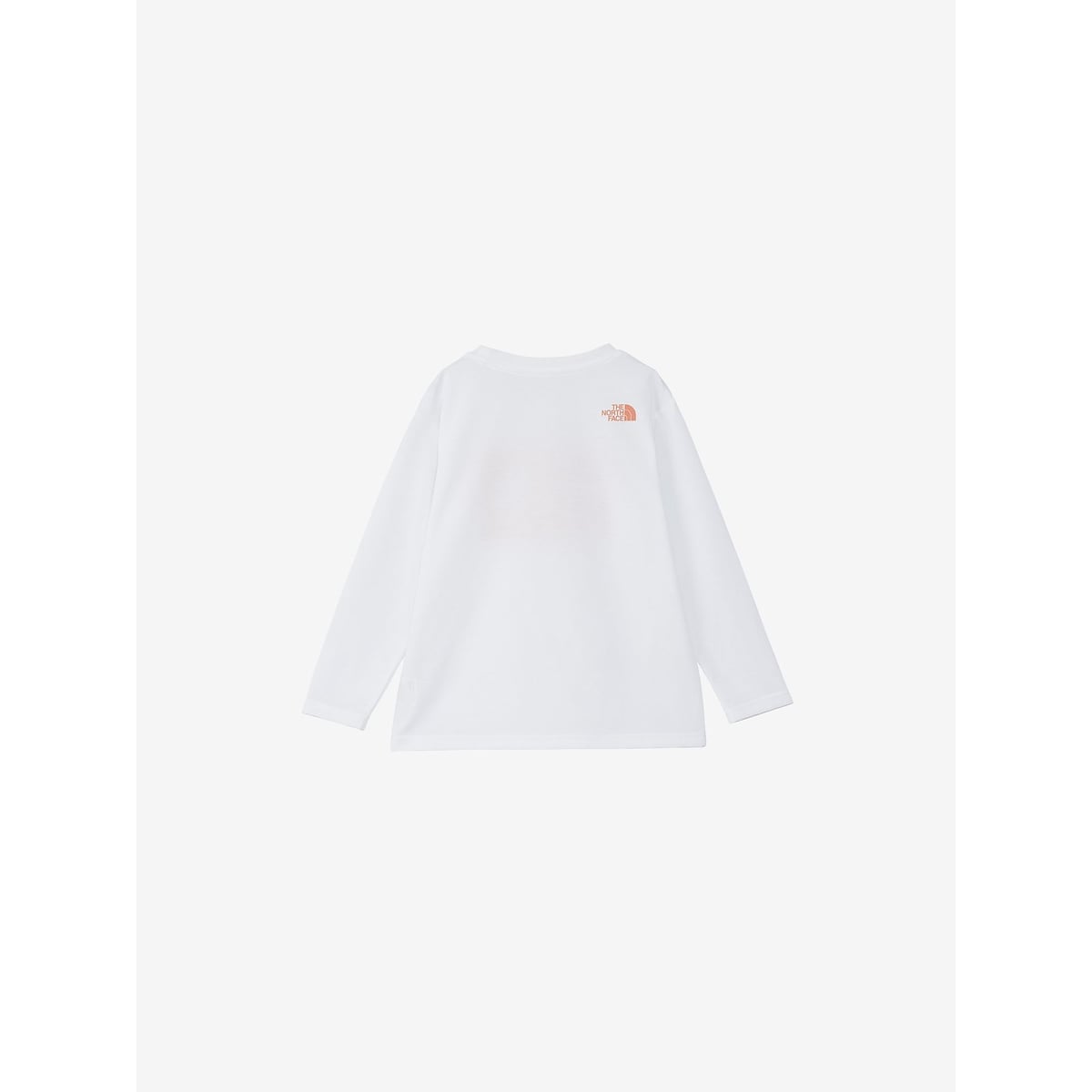 L/S TNF Bug Free Graphic Tee (キッズ ロングスリーブTNFバグフリーグラフィックティー)
