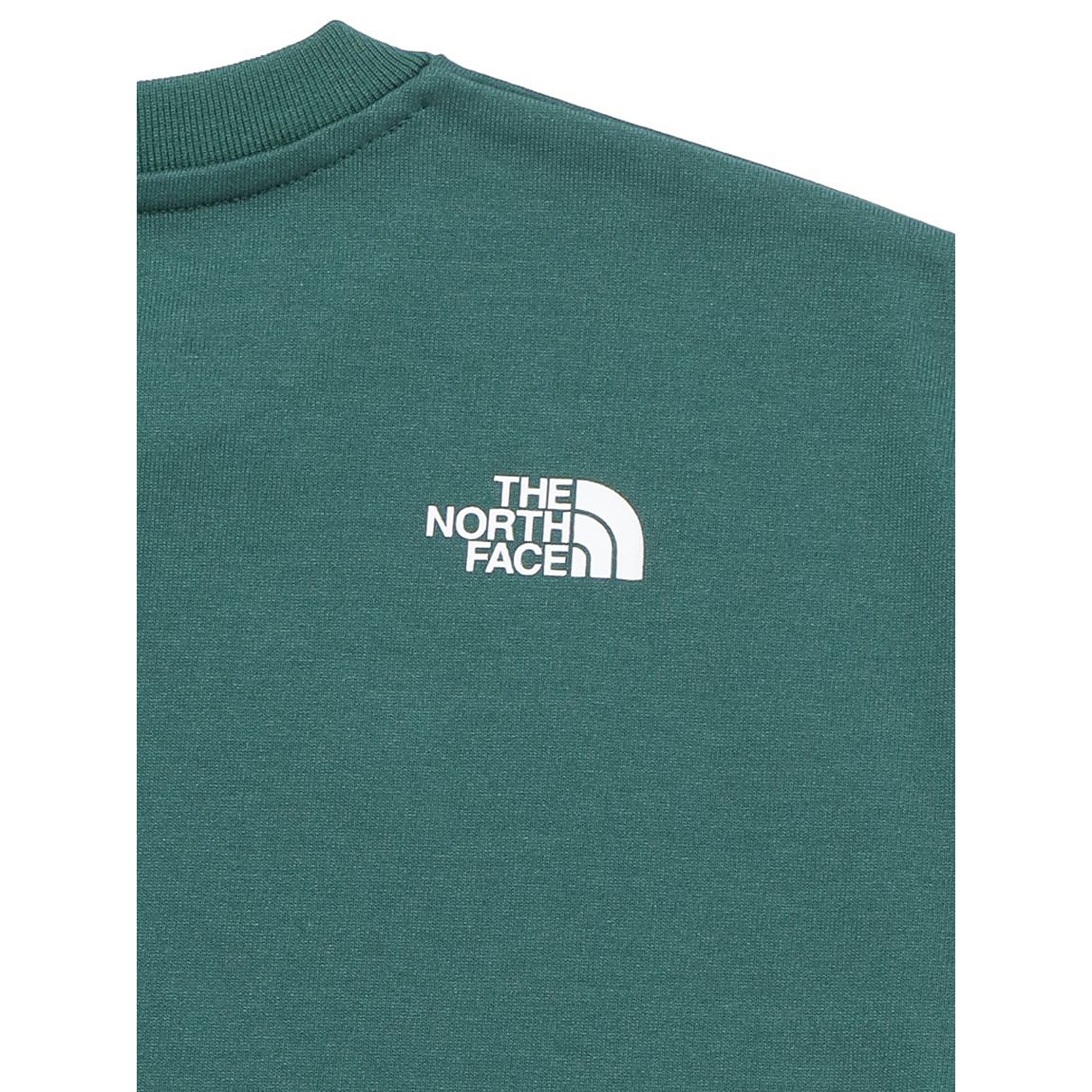 S/S Nuptse Tee (ショートスリーブヌプシティー)