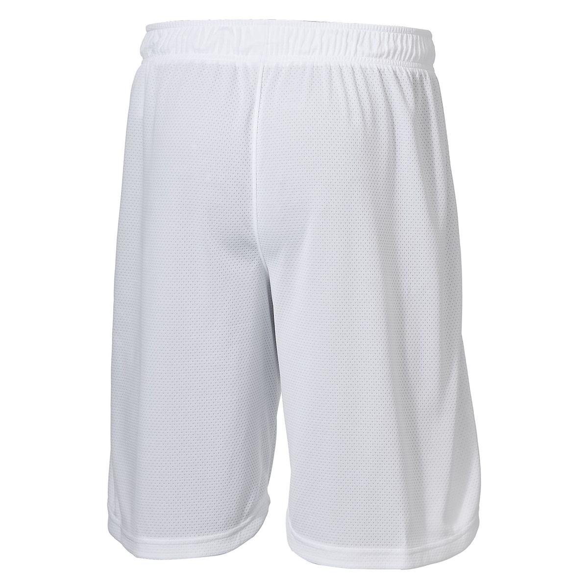 UA BASELINE MESH SHORTS