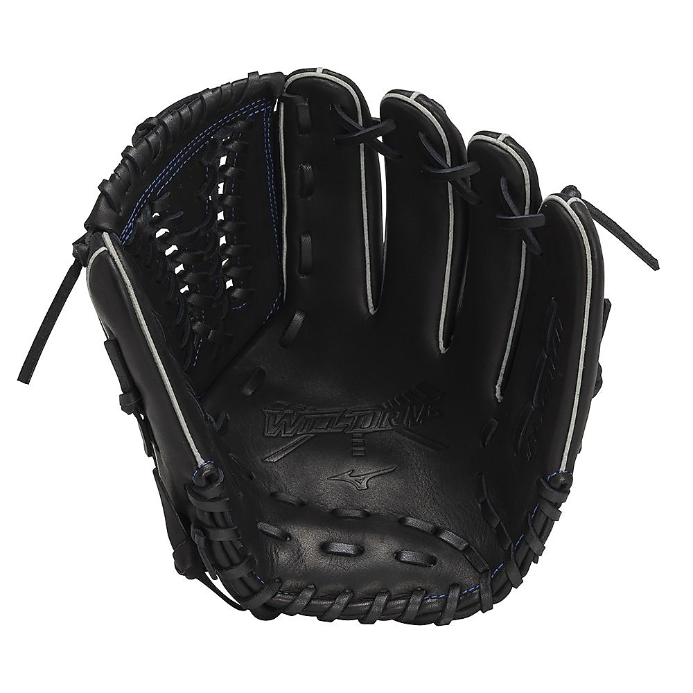ソフトボール用WILLDRIVE BLUE(ウィルドライブブルー)　 オールラウンド用:サイズ10
