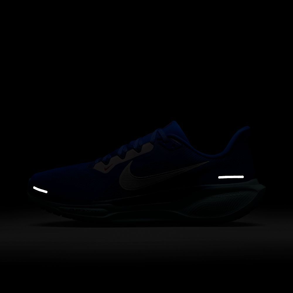 ナイキ エア ズーム ペガサス 41 CM