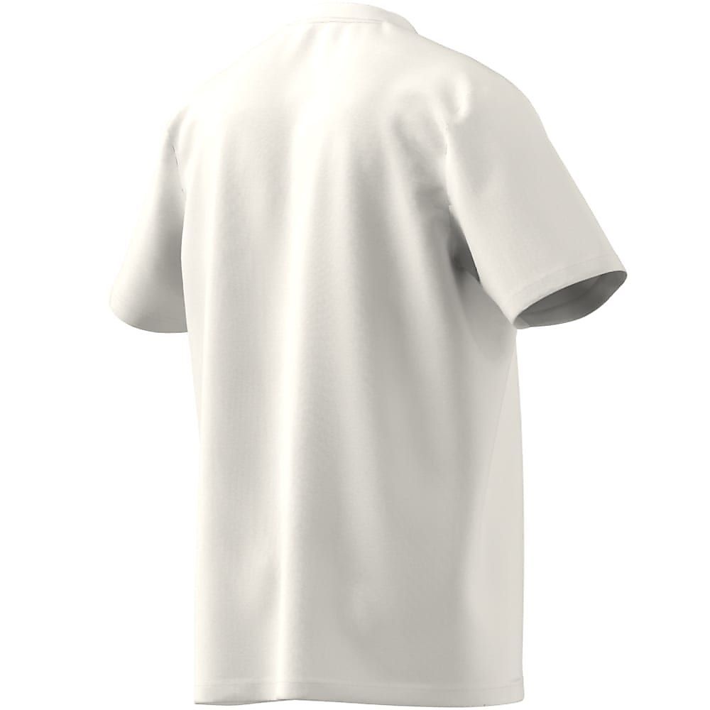 M FI BOS OLY Tシャツ