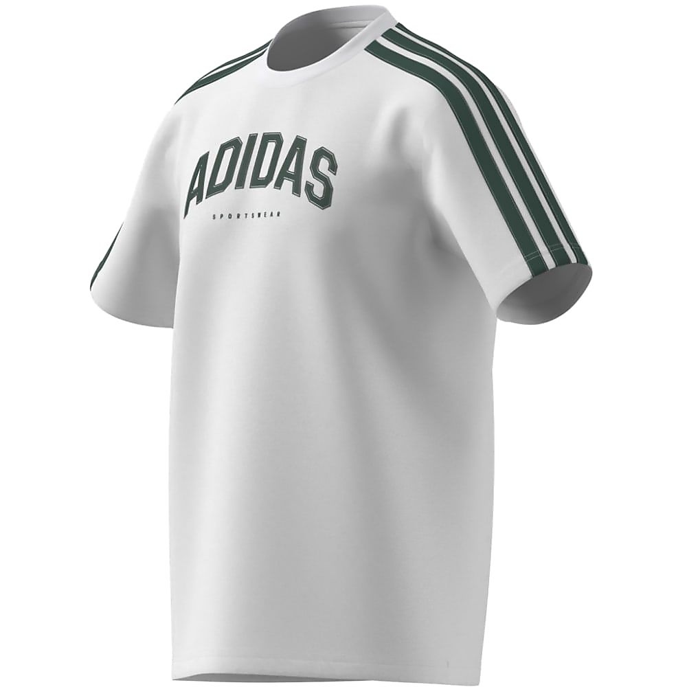 M COLLEG グラフィック Tシャツ