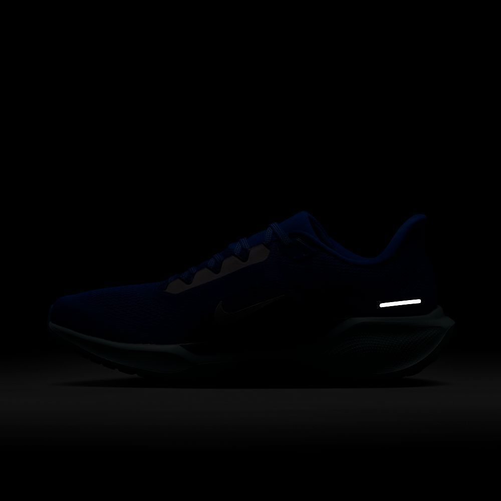 ナイキ エア ズーム ペガサス 41 CM