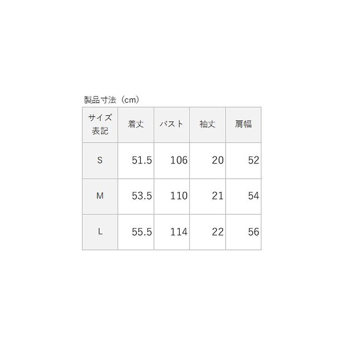 for RUN ドライスムースpr オーバーサイズラインTシャツ LADIES