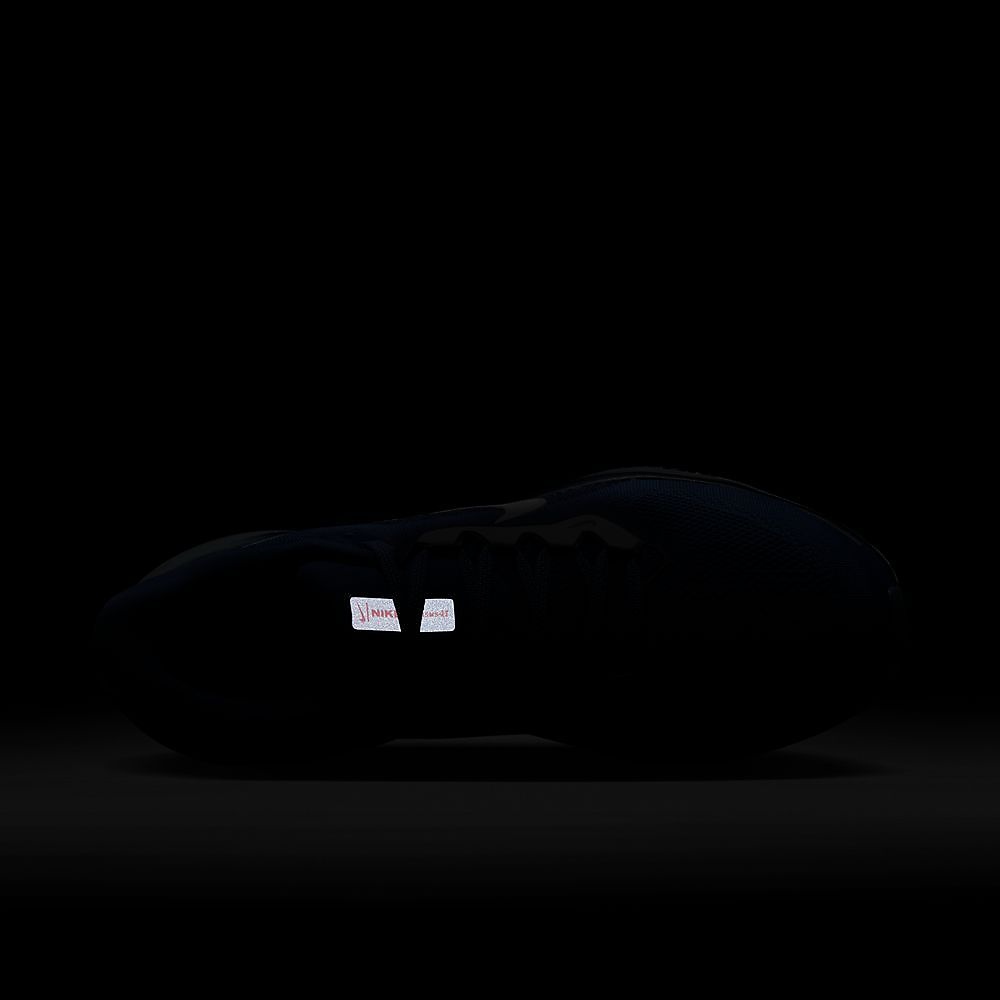 ナイキ エア ズーム ペガサス 41 CM