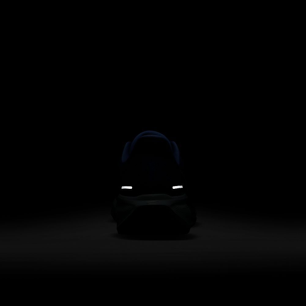 ナイキ エア ズーム ペガサス 41 CM