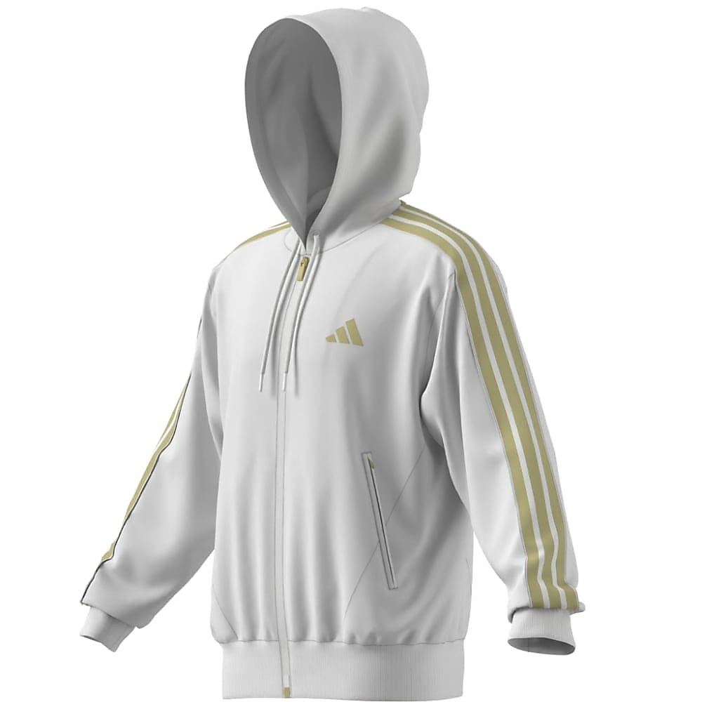 MSGCOATFZフーディ