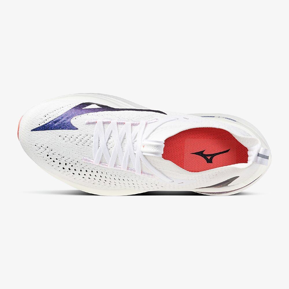 ミズノネオビスタ2