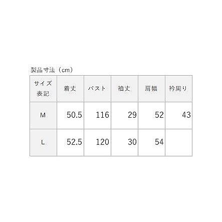 ミニサッカーストライプ クロップトシャツ LADIES