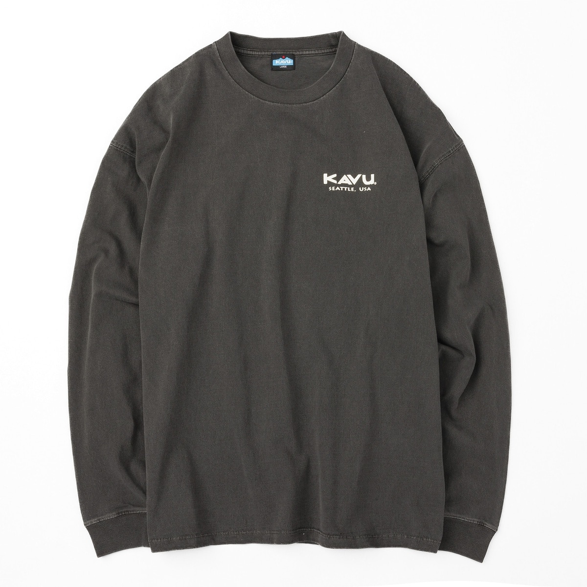 Surf Logo LS Tee