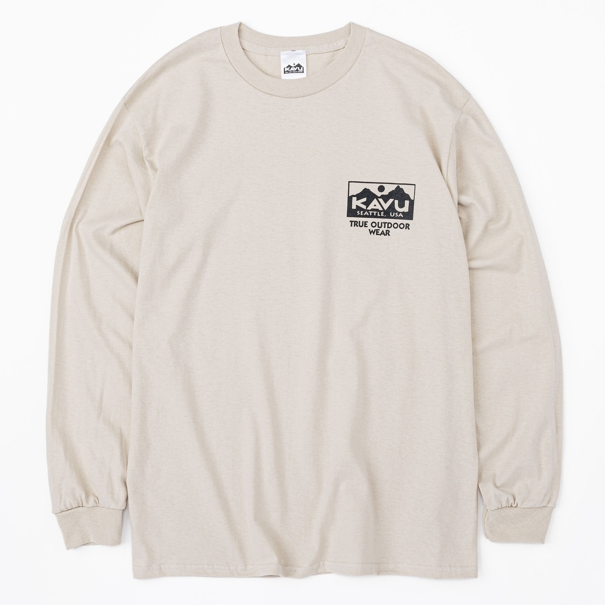 True Logo LS Tee