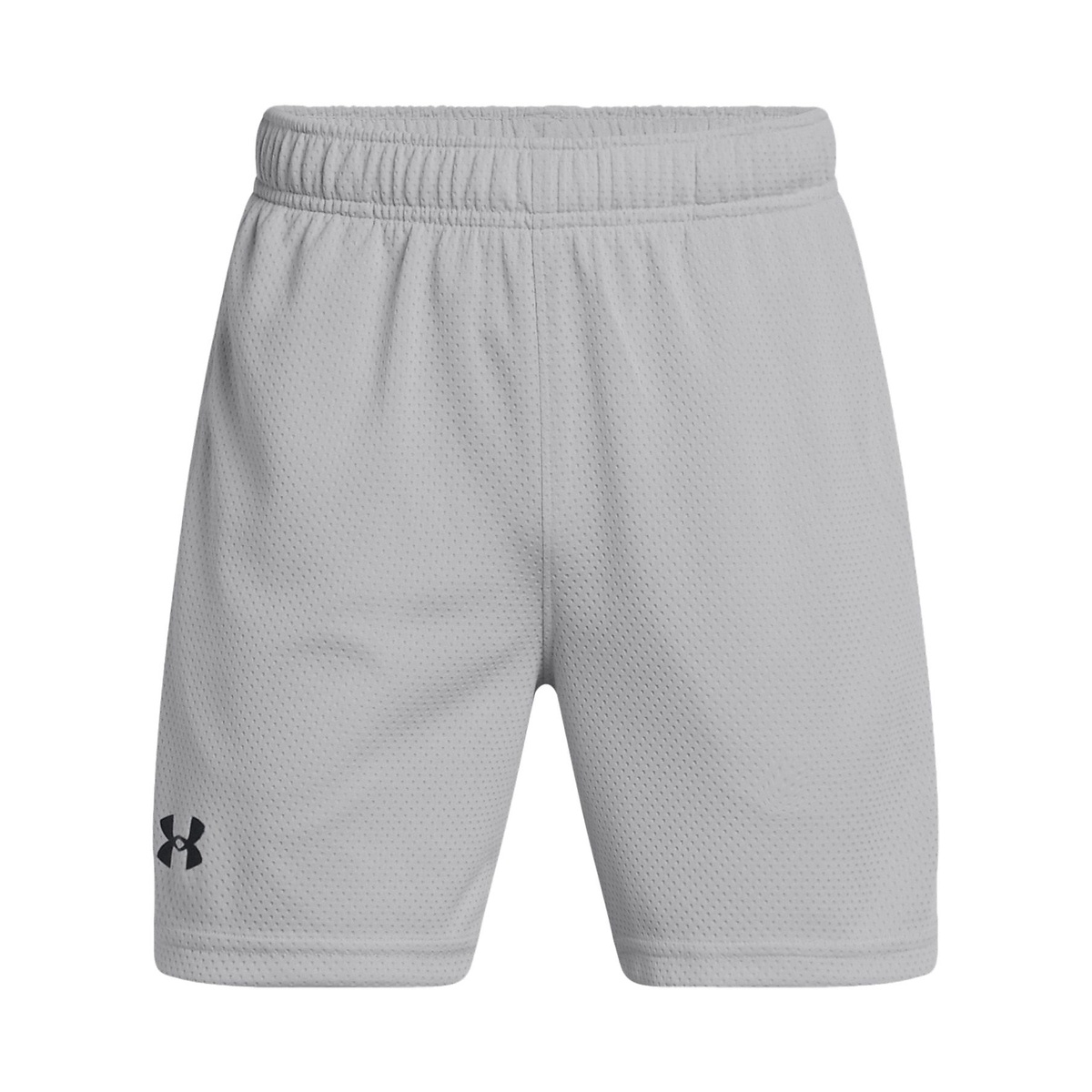 UA Tech Mesh Shorts