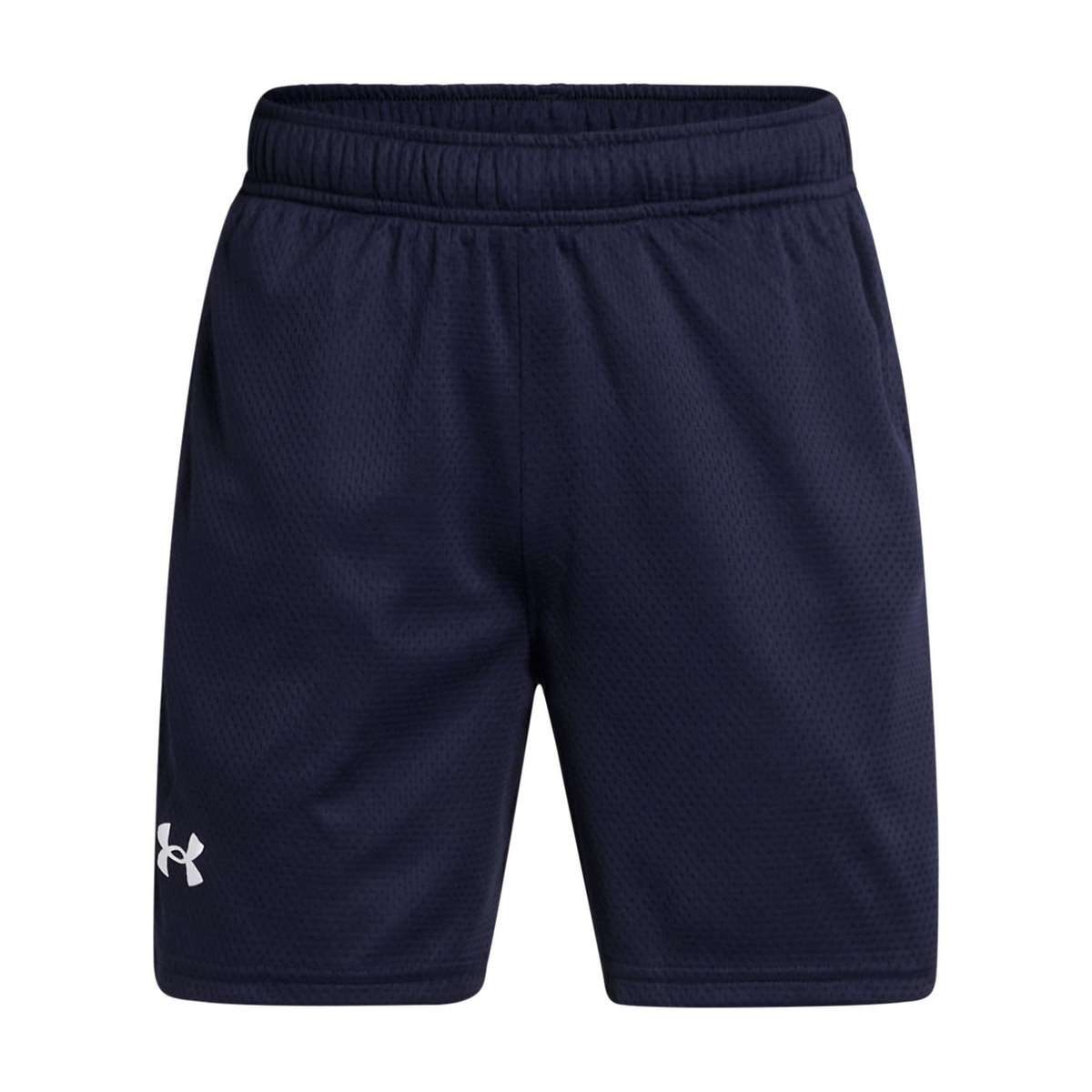 UA Tech Mesh Shorts