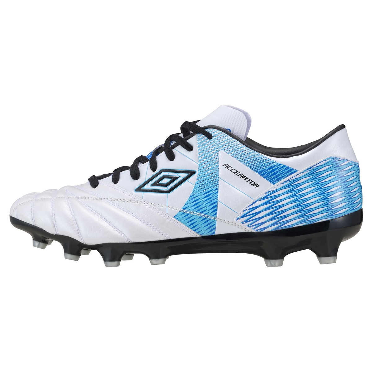 アクセレイター  f v3 HG