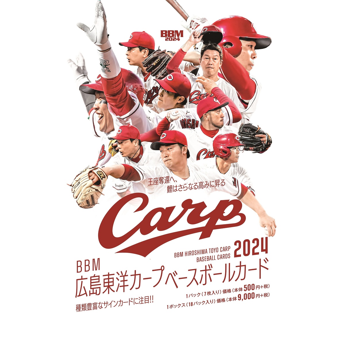 BBM 広島東洋カープ ベースボールカード2024 BOX(18パック入り)