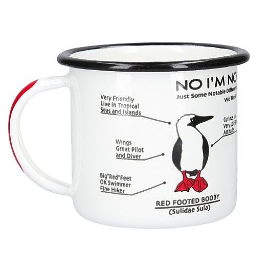 Enamel Mug