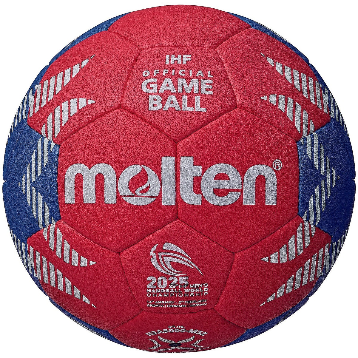 2025年ハンド男子世界選手権