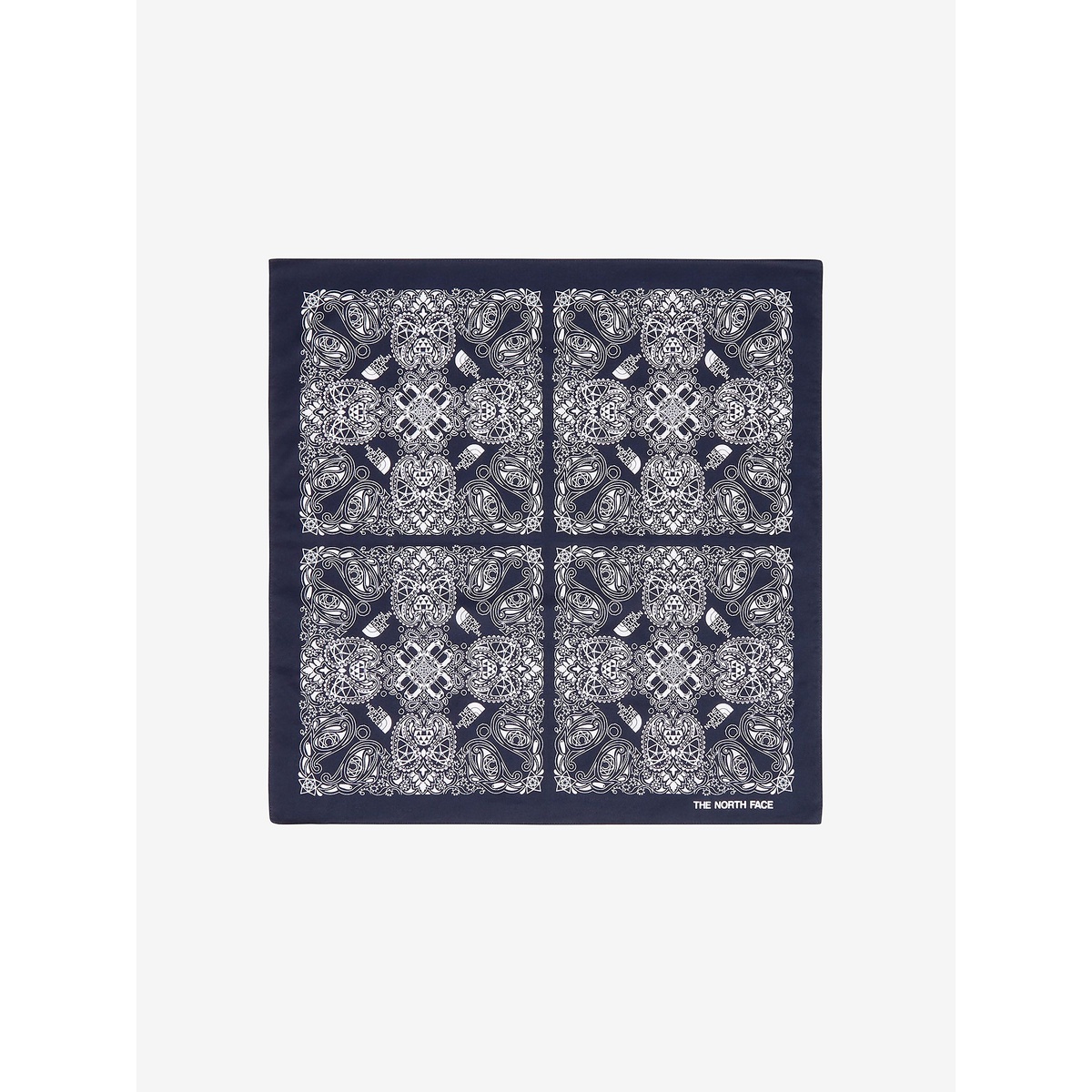 Geodome(R) Paisley Bandana (ジオドーム ペイズリーバンダナ)