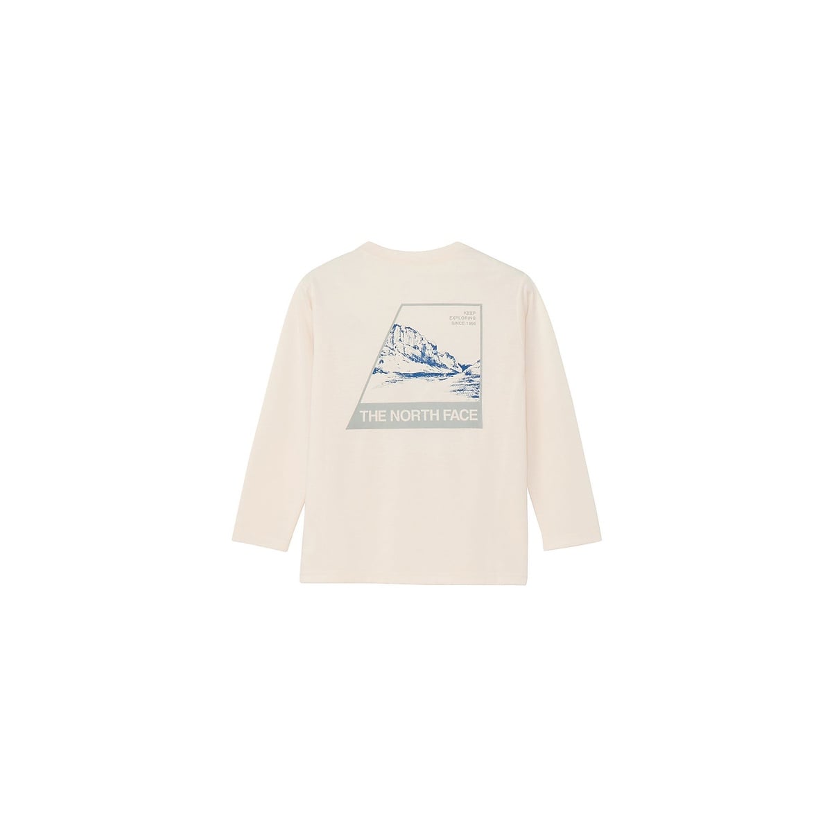 L/S TNF Bug Free Graphic Tee (ロングスリーブTNFバグフリーグラフィックティー)