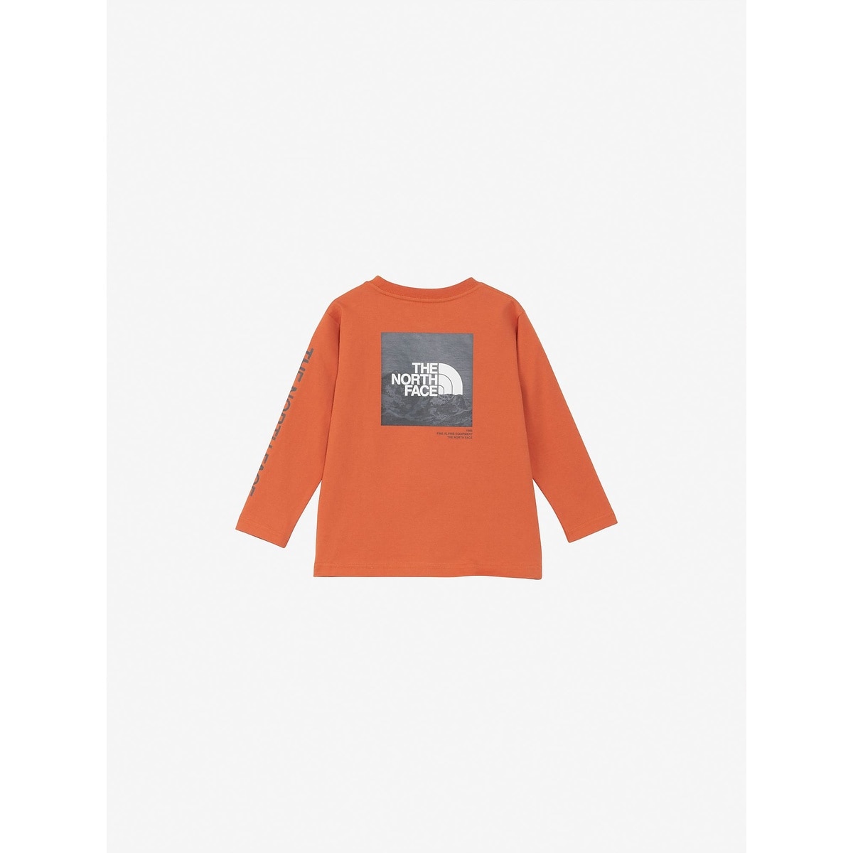 T L/S Sleeve Graphic Tee (トドラーロングスリーブスリーブグラフィックティー(キッズ))
