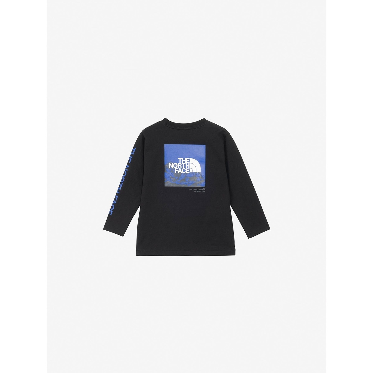 T L/S Sleeve Graphic Tee (トドラーロングスリーブスリーブグラフィックティー(キッズ))