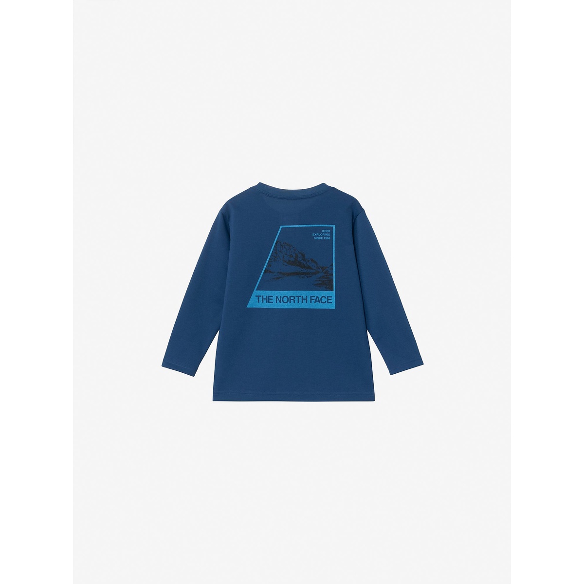 T L/S TNF Bug Free Graphic Tee (トドラーロングスリーブTNFバグフリーグラフィックティー)