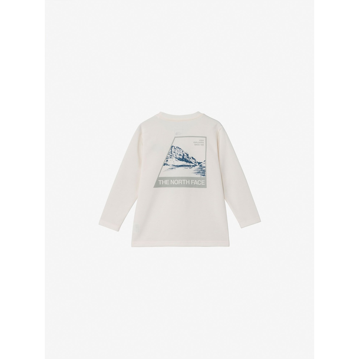 T L/S TNF Bug Free Graphic Tee (トドラーロングスリーブTNFバグフリーグラフィックティー)