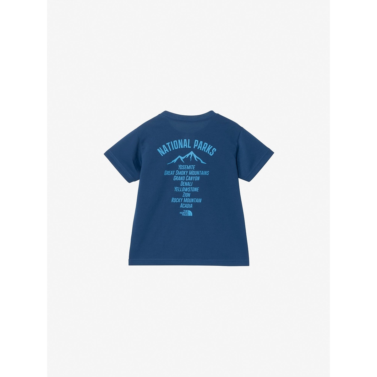 T S/S TNF Bug Free Graphic Tee (トドラーショートスリーブTNFバグフリーグラフィックティー)