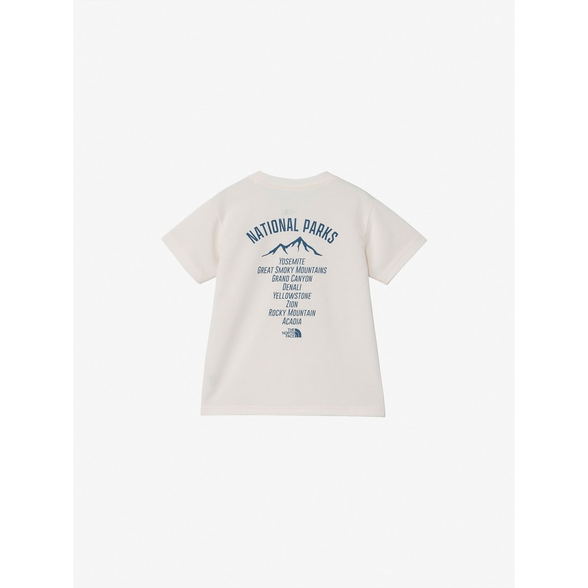 T S/S TNF Bug Free Graphic Tee (トドラーショートスリーブTNFバグフリーグラフィックティー)