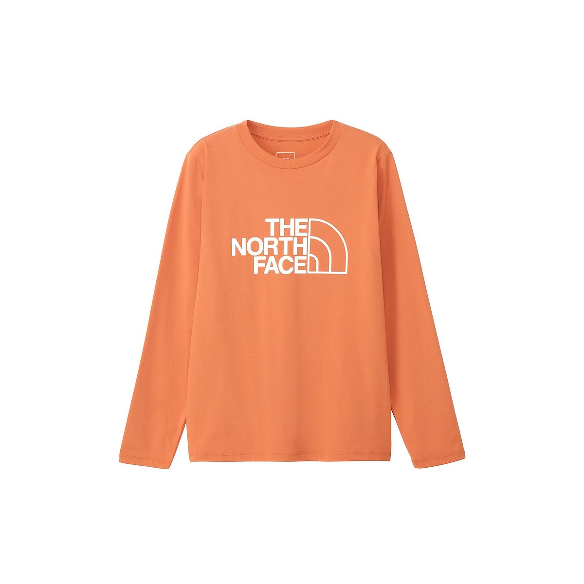 L/S ES Big Logo Tee (ロングスリーブイーエスビッグロゴティー)