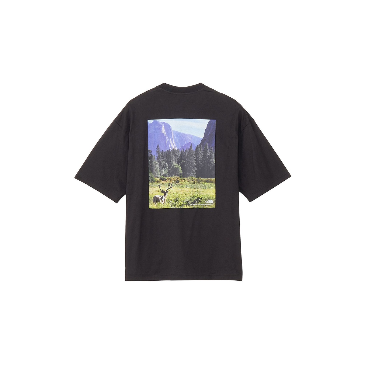 S/S Yosemite Scenery Tee (ショートスリーブヨセミテシーナリーティー)