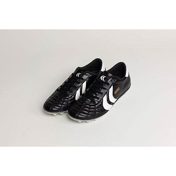 リガレスタ エース ジュニア (LIGARESTA ACE JR)