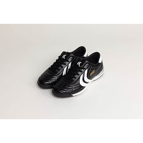 リガレスタ ターフ ジュニア (LIGARESTA TF JR)