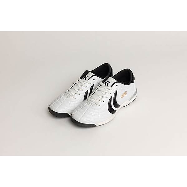 リガレスタ ターフ ジュニア (LIGARESTA TF JR)