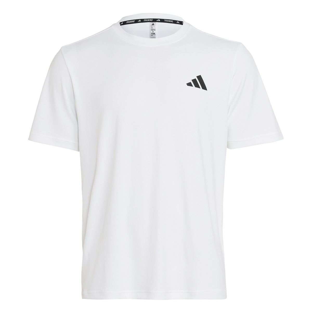 MCOOLBACKPTシャツ