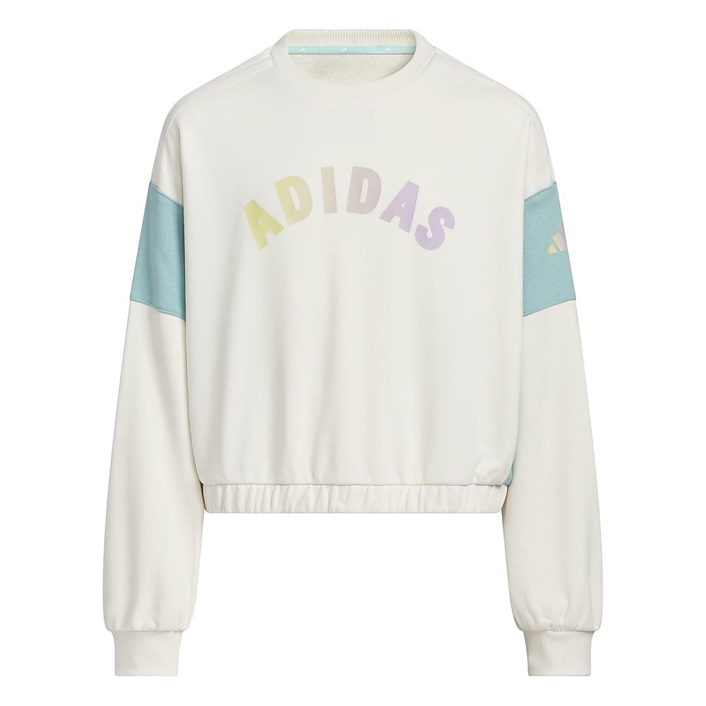 YGGPクルーネックスウェット